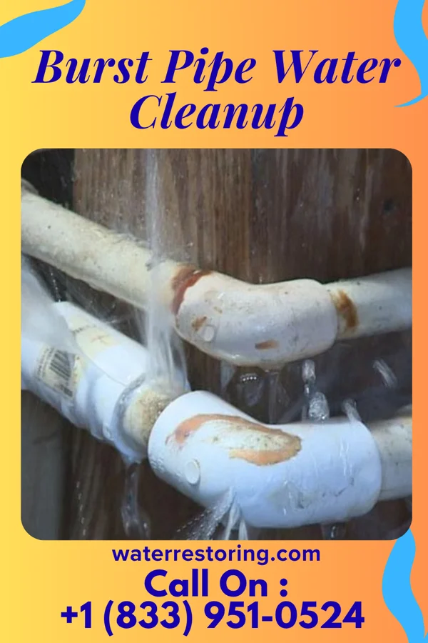 Burst Pipe Water Cleanup in Brodnax, VA