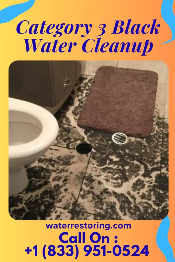 Category 3 Black Water Cleanup in Brodnax, VA