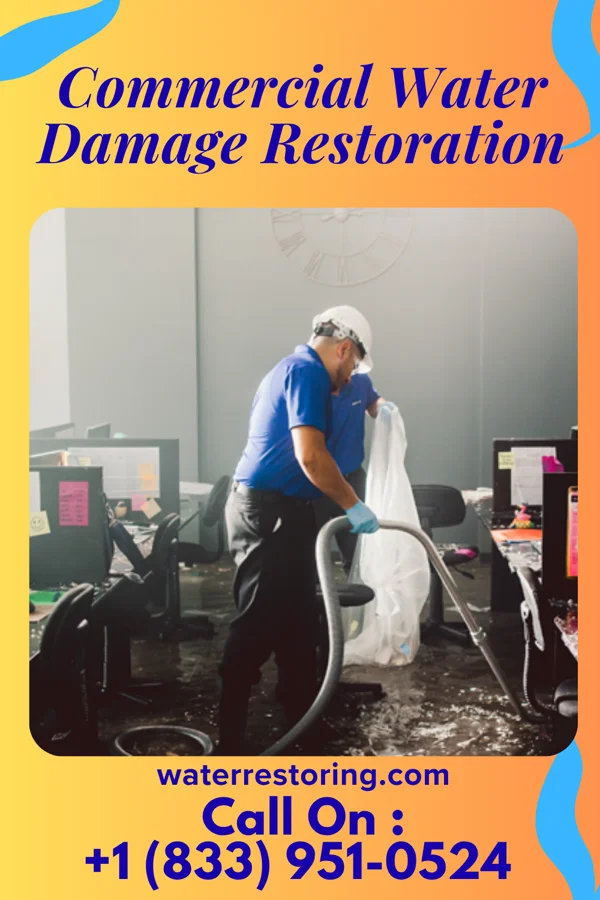 Commercial Water Damage Restoration in Brodnax, VA