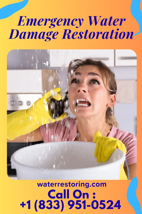 Emergency Water Damage Restoration in Brodnax, VA