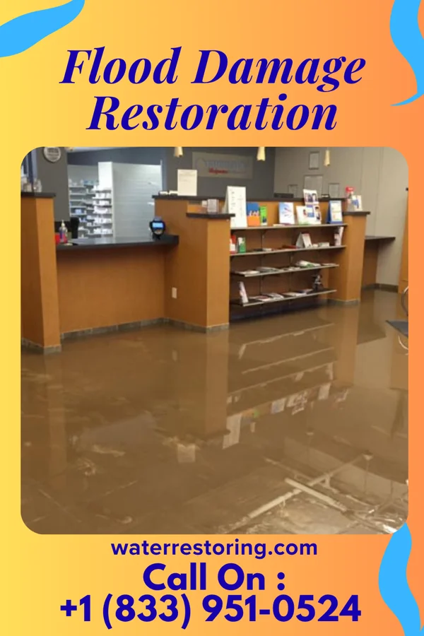 Flood Damage Restoration in Brodnax, VA
