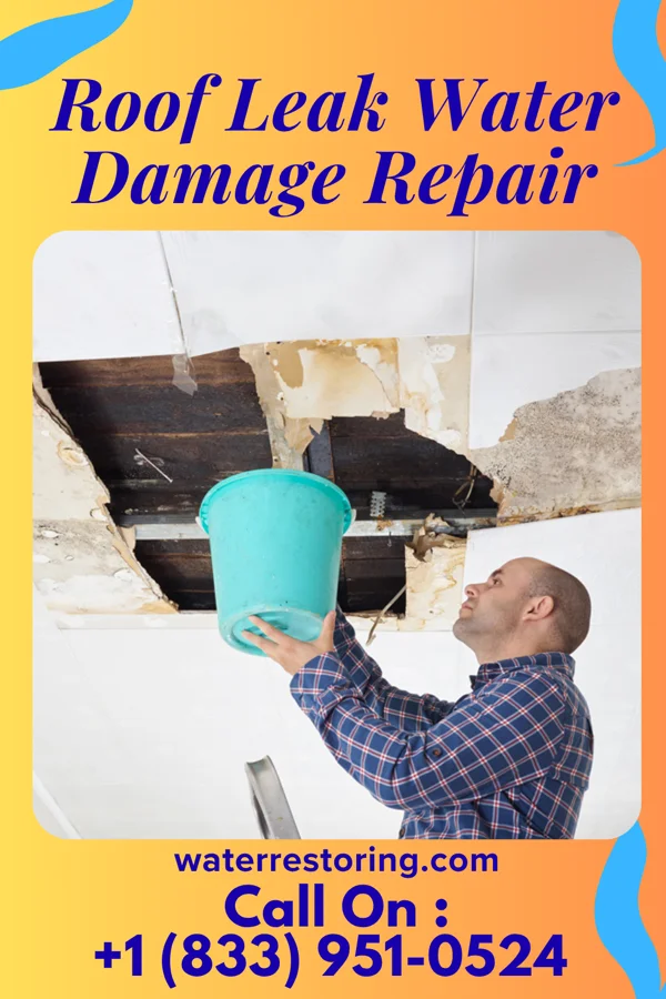 Roof Leak Water Damage Repair in Brodnax, VA