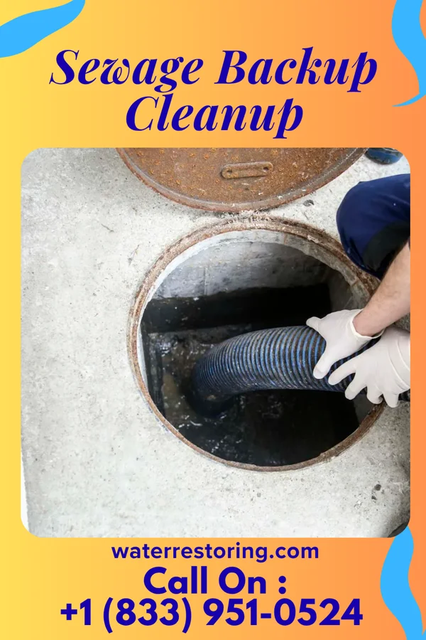 Sewage Backup Cleanup in Brodnax, VA