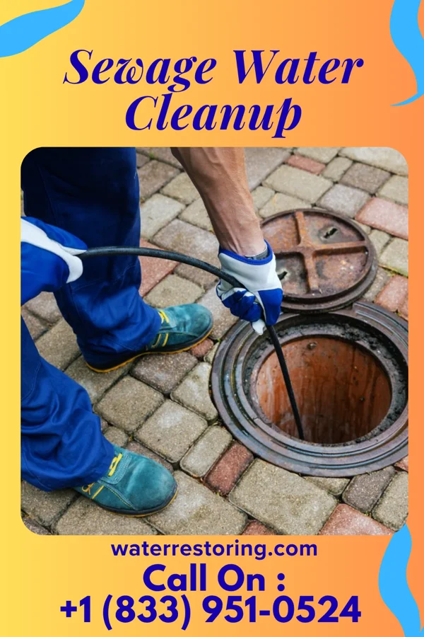 Sewage Water Cleanup in Brodnax, VA