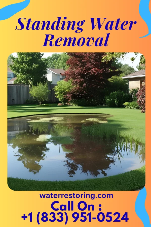 Standing Water Removal in Brodnax, VA